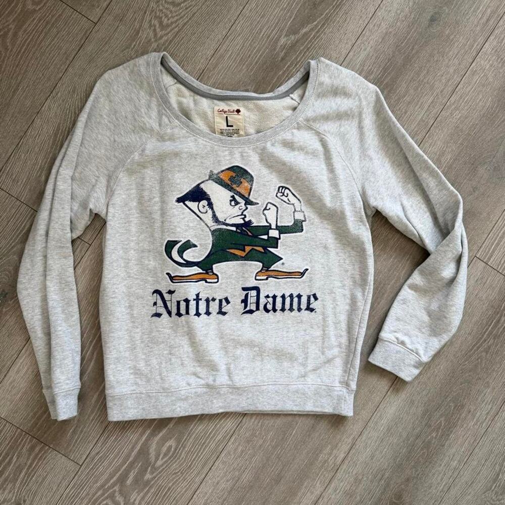 Notre dame fighting irish college